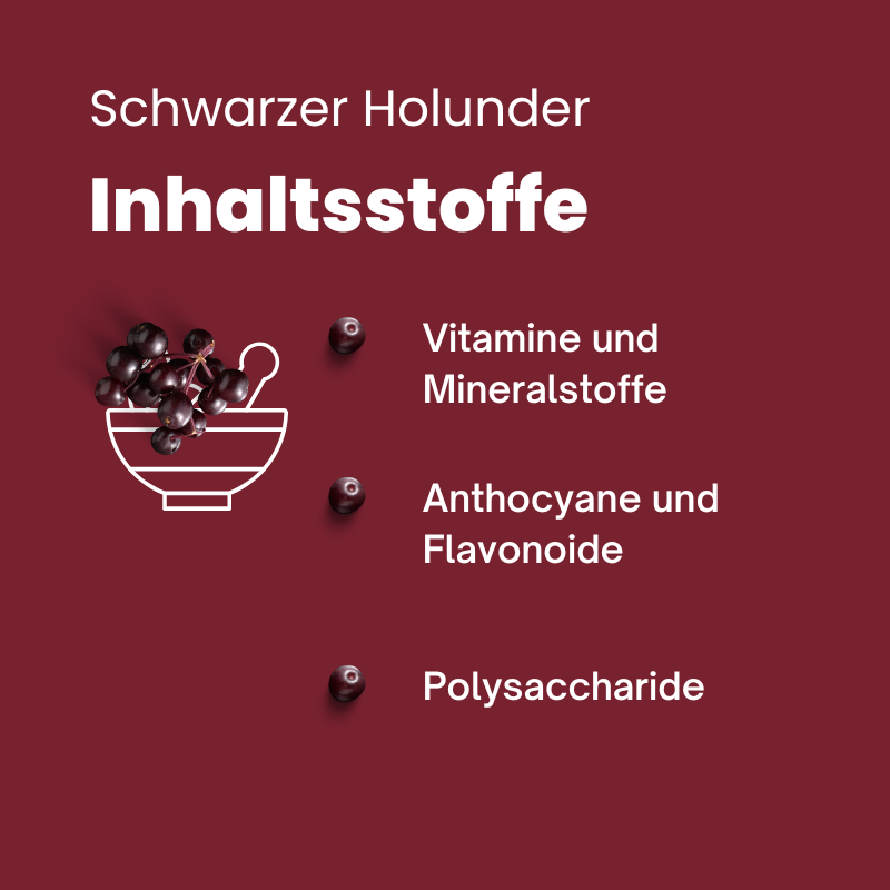 Schaubild - Die Inhaltsstoffe im schwarzen Holunder