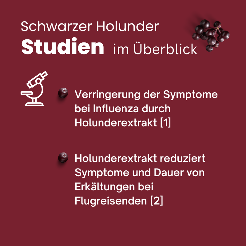 Übersicht - Studien bestätigen die Wirkung von schwarzem Holunder