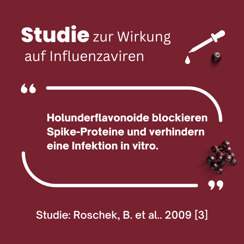 Studie zur Wirksamkeit von Holunderextrakt bei Influenza H1N1