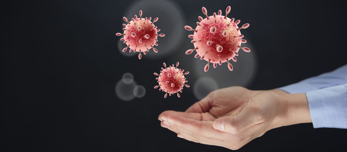 Grippeviren - schwarzer Holunder kann antiviral wirken
