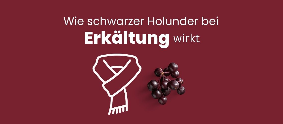 Wie Holunder bei Erkältung und Grippe wirkt - Icon Schal und Holunderbeeren