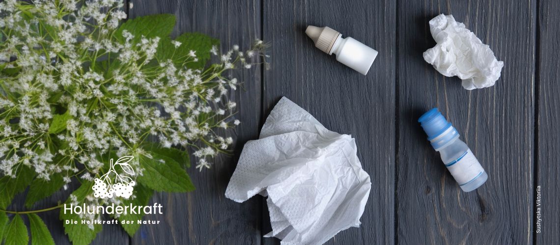Holunderblüten, Taschentücher, Augentropfen auf dunklem Holz zum Thema Gibt es Allergien gegen Holunder