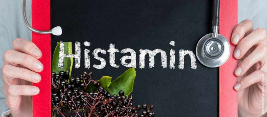 Tafel mit der Aufschrift "Histamin" und Holunderbeeren zum Thema wie Holunder die Histamin-Ausschüttung beeinflusst