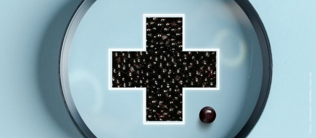 Ein Plus aus Holunderbeeren vor hellblauem Hintergrund zum Thema Pluspunkt für die Gesundheit - Vitamine im schwarzen Holunder