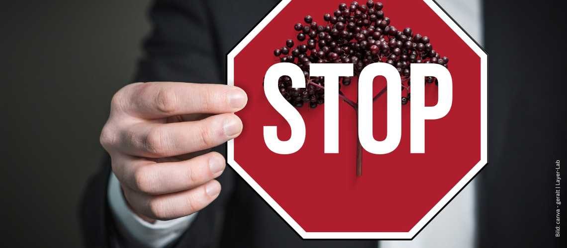 Mann mit Stop-Schild mit Holunderbeeren zum Thema - Krankheiten vorbeugen mit Holunder