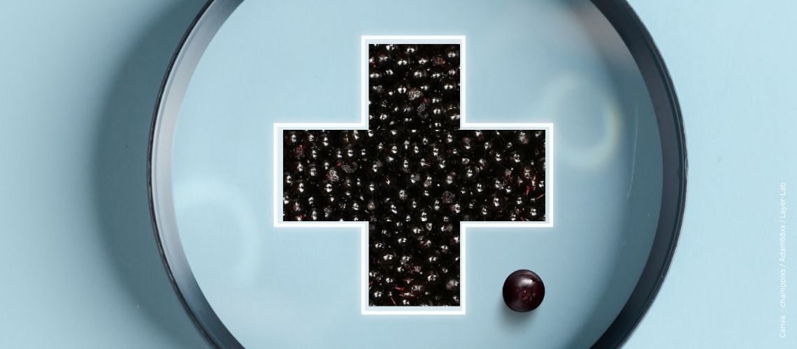 Ein Plus aus Holunderbeeren vor hellblauem Hintergrund zum Thema Pluspunkt für die Gesundheit - Vitamine im schwarzen Holunder