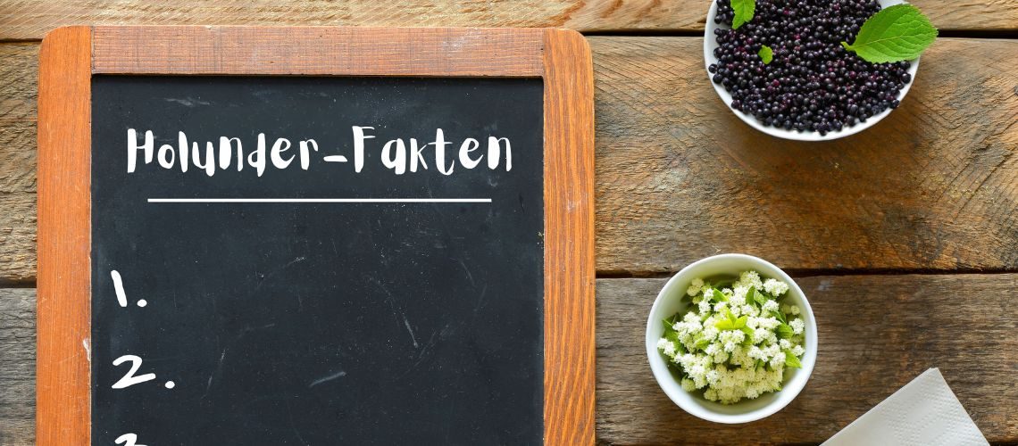 Tafel mit Kreideaufschrift "Holunder-Fakten" neben Schälchen mit Holunderbeeren und Holunderblüten zum Thema 7 spannende Fakten zu heimischem Holunder