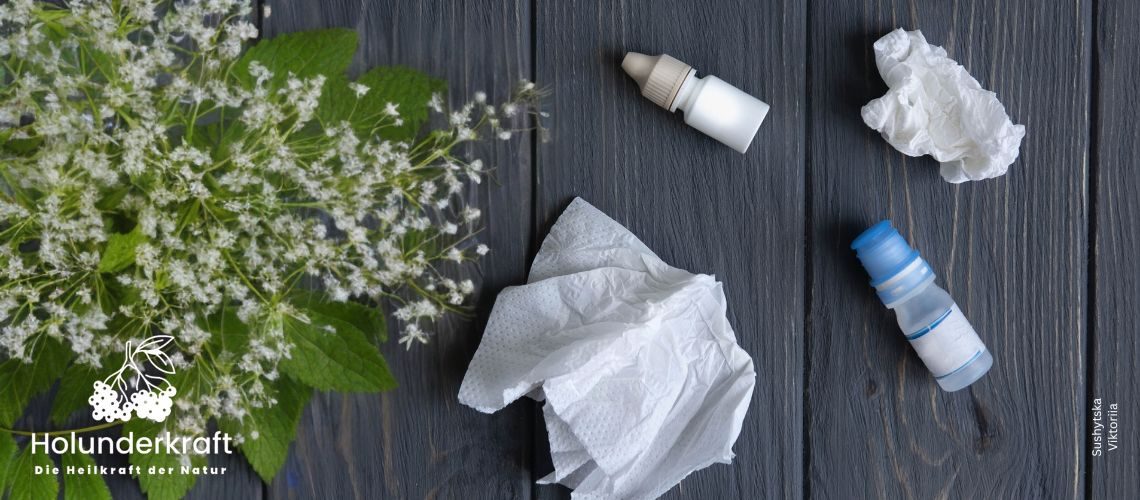 Holunderblüten, Taschentücher, Augentropfen auf dunklem Holz zum Thema Gibt es Allergien gegen Holunder